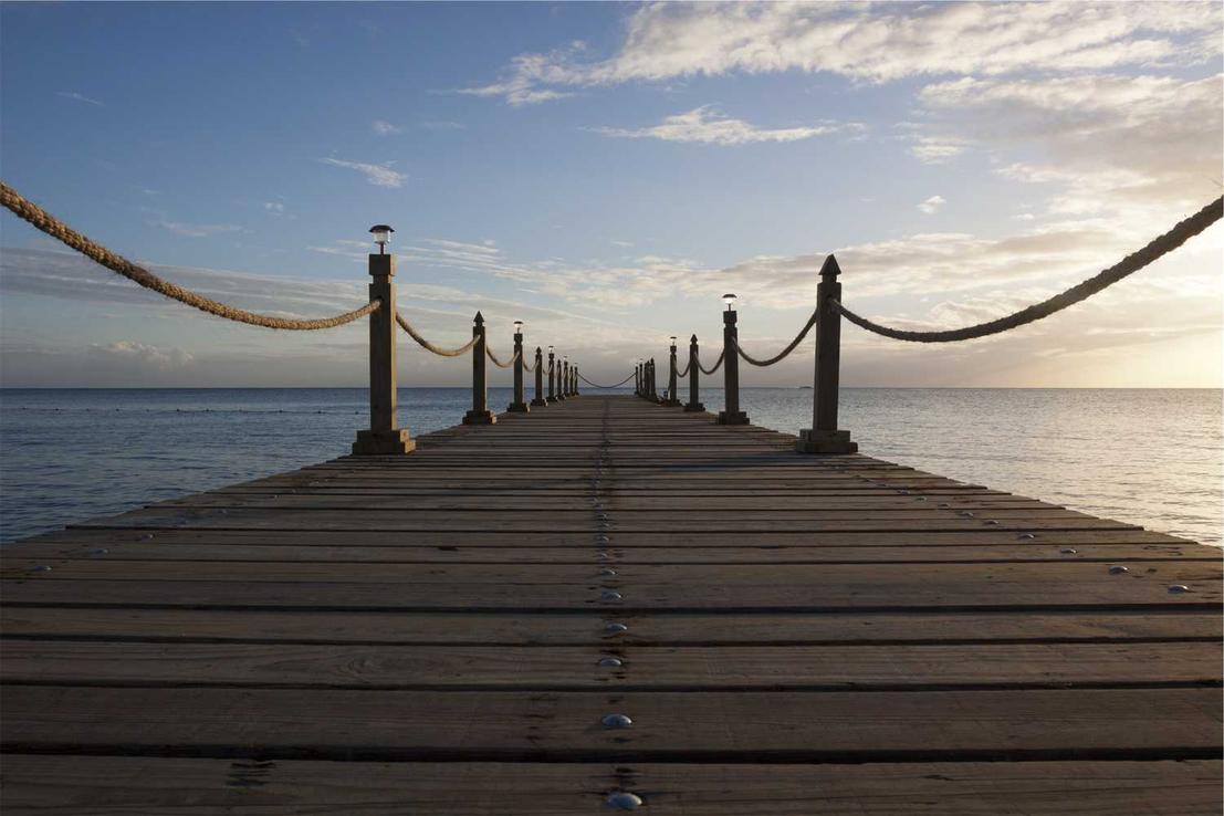 Perferendis et optio magni consequatur sunt adipisci