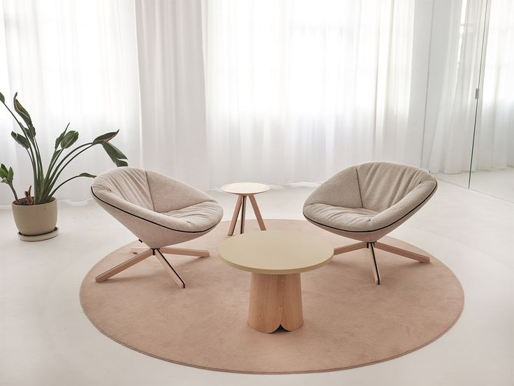 Tortuga Sancal - Arm Chair - The August Company | Mumbai