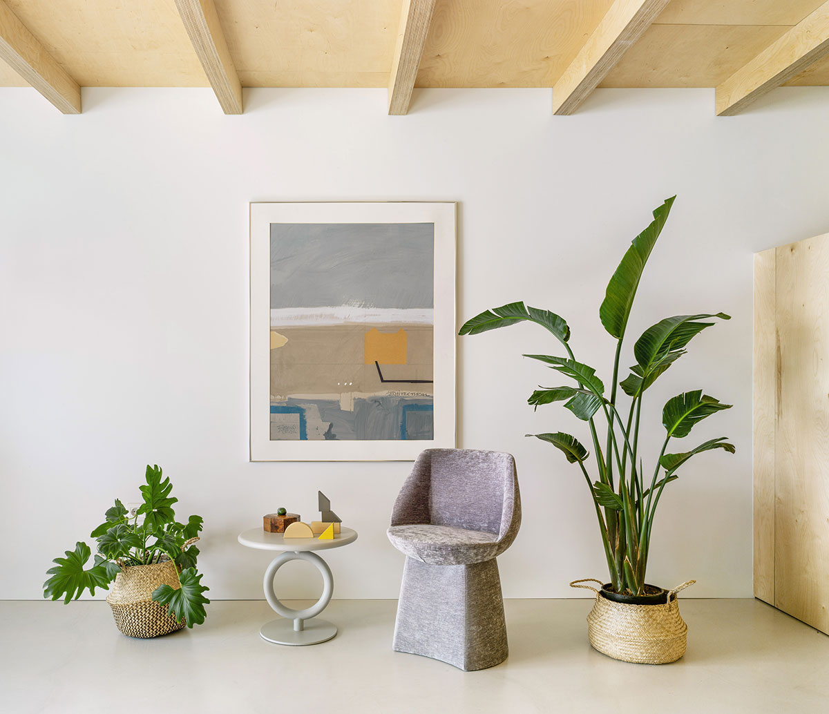 Magnum Sancal - Dinning Chair - The August Company | Mumbai