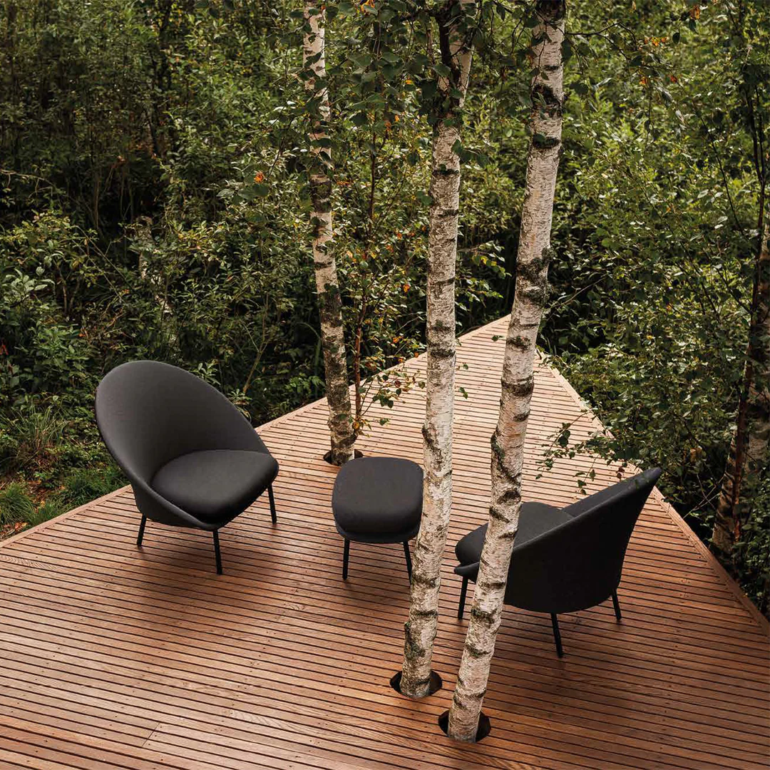 Expormim Twin - Armchairs- the August Company| Mumbai