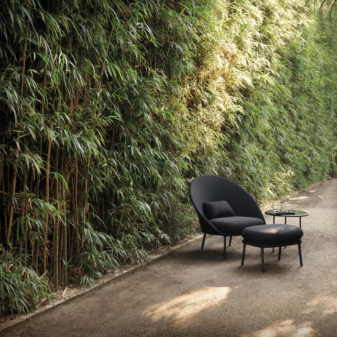 Expormim Twin - Armchairs- the August Company| Mumbai