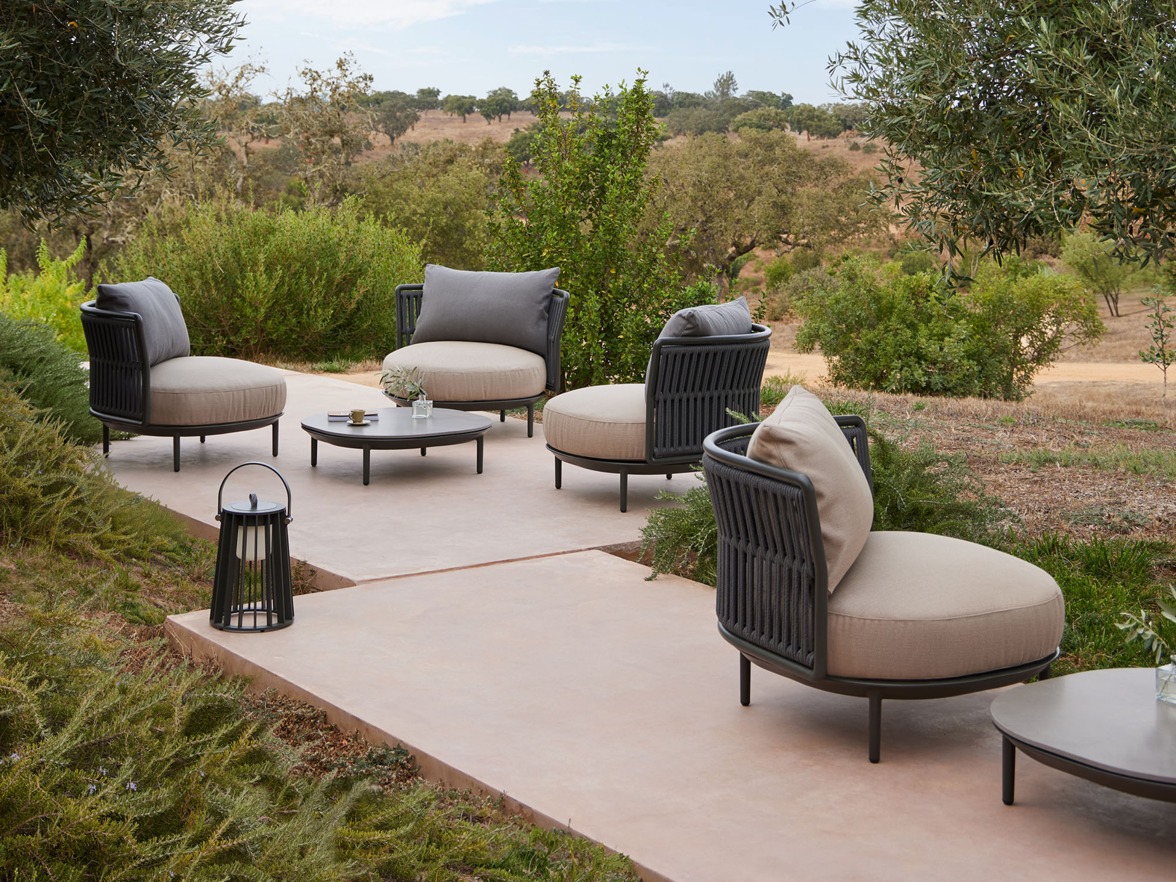 Point Amba - Armchairs- The August Company | Mumbai