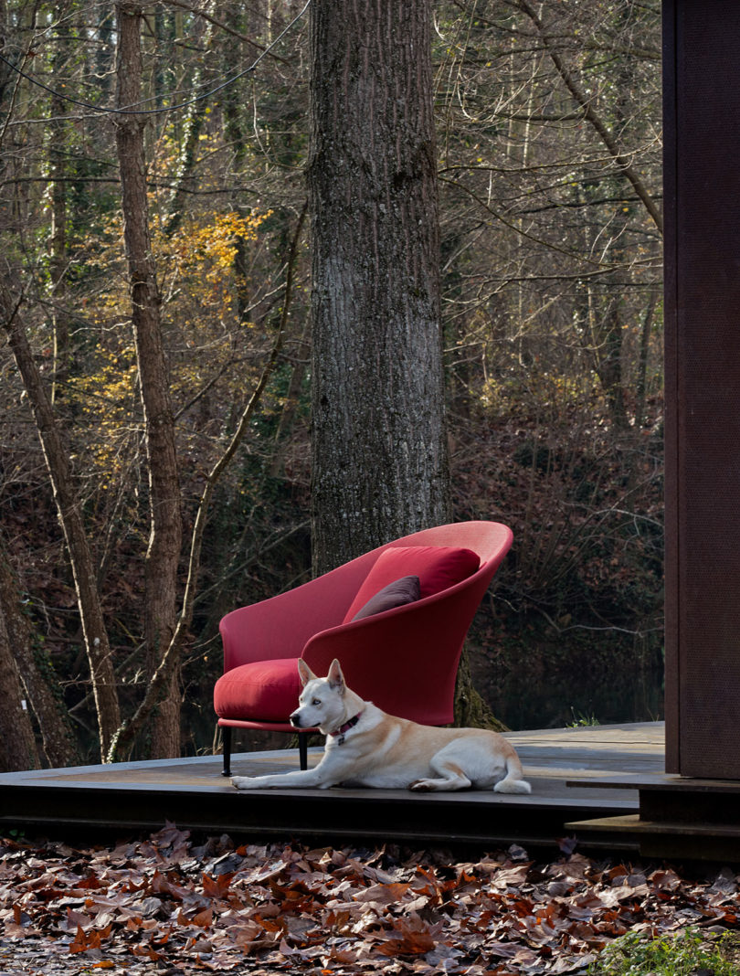 Liz Low - Armchairs- The August Company | Mumbai