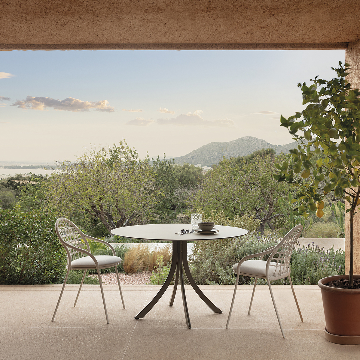 Petale Expormim - Outdoor Chairs- The August Company | Mumbai