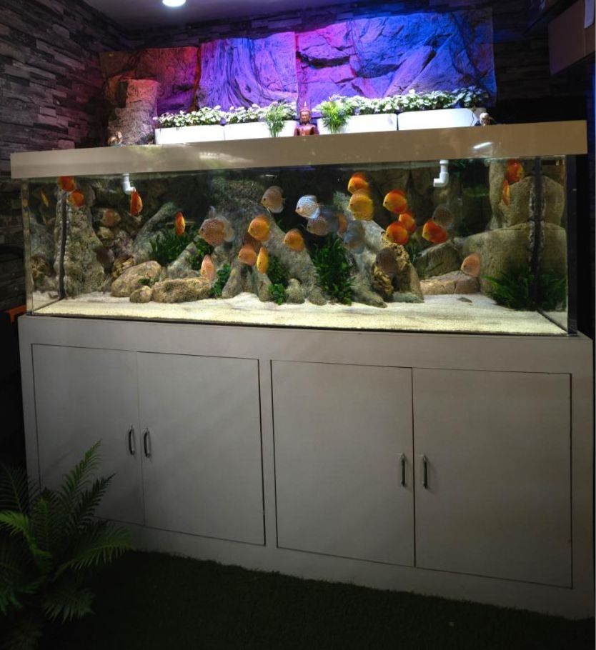 Zen Aqua Living - The August Company - Mumbai